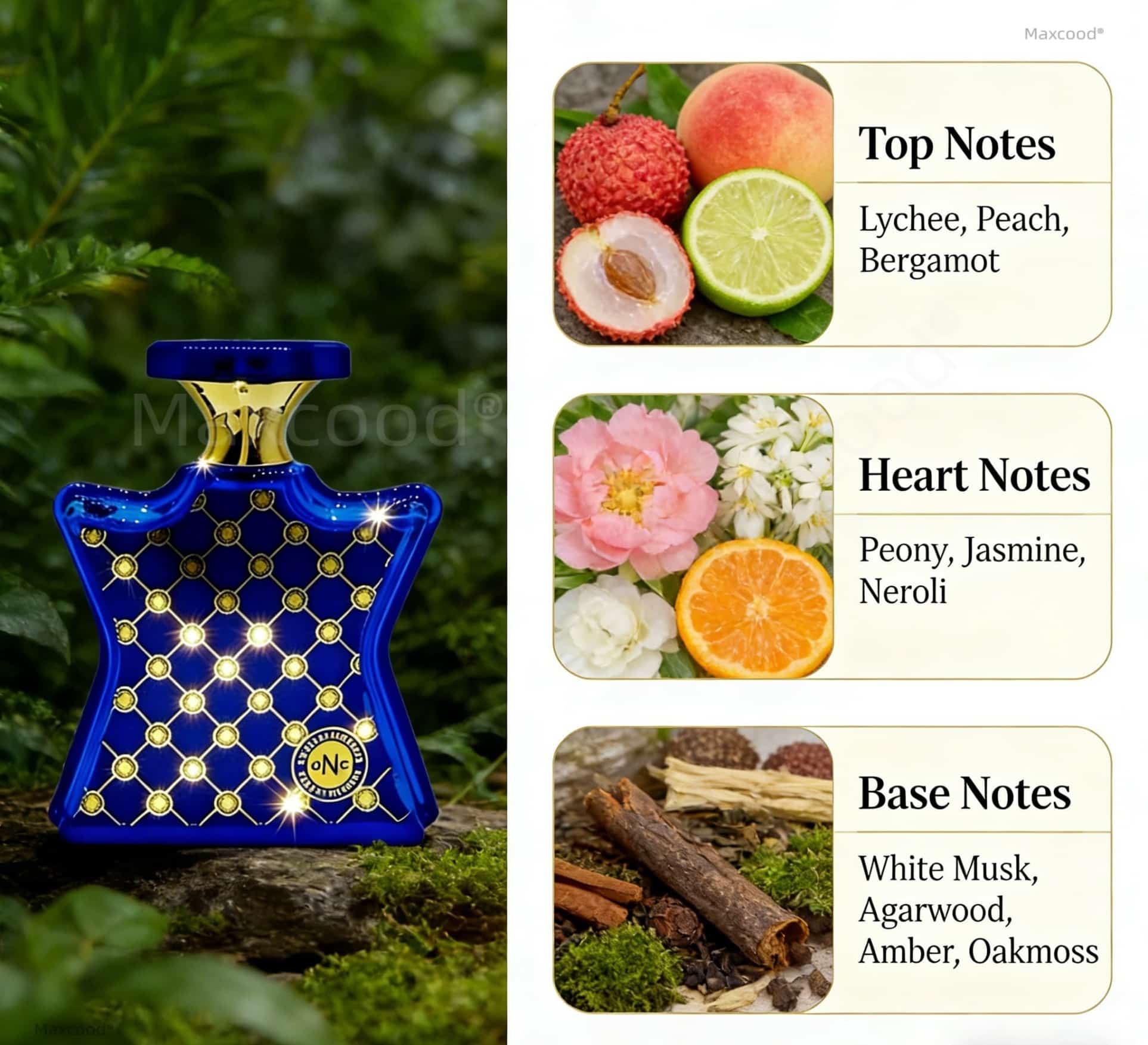 Citrus- en bloemige parfums La - Perfume High Fragrance recensie en prijs