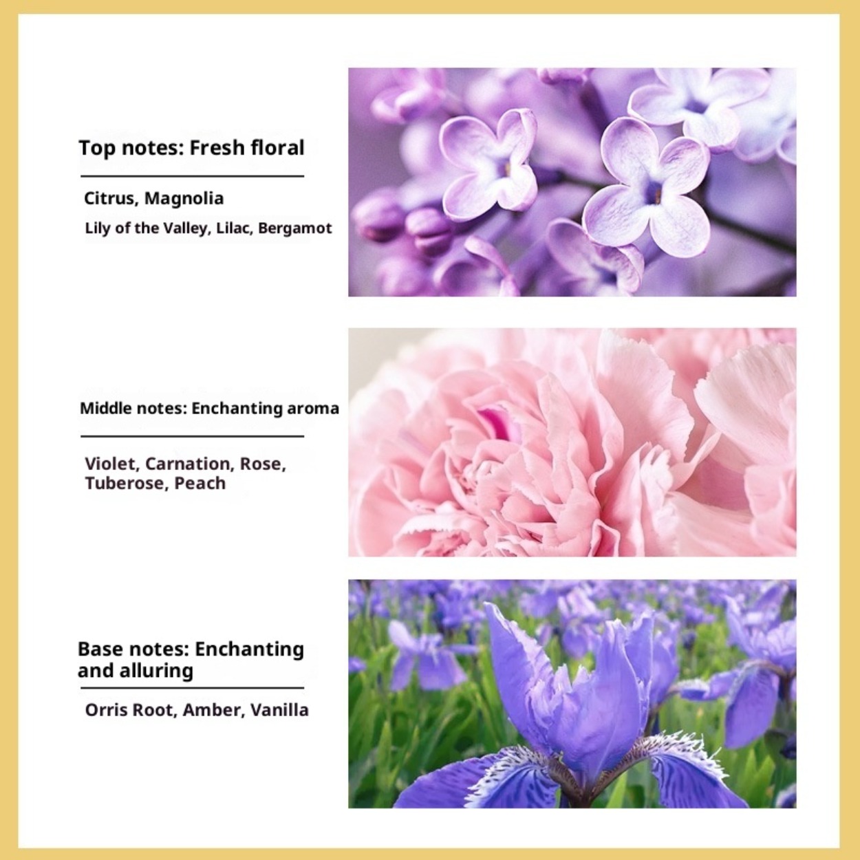 Nee. 5 Vrouwen Eau de Toilette - Perfume Fragrance Brands recensie en prijs